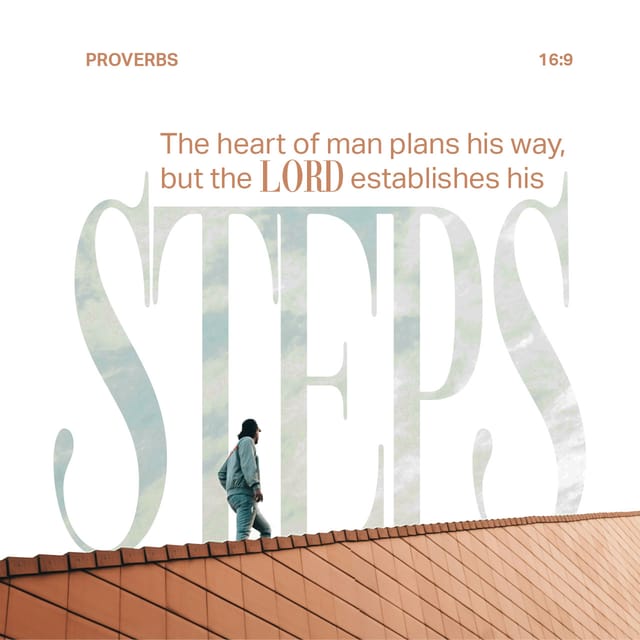 Proverbs 16:9