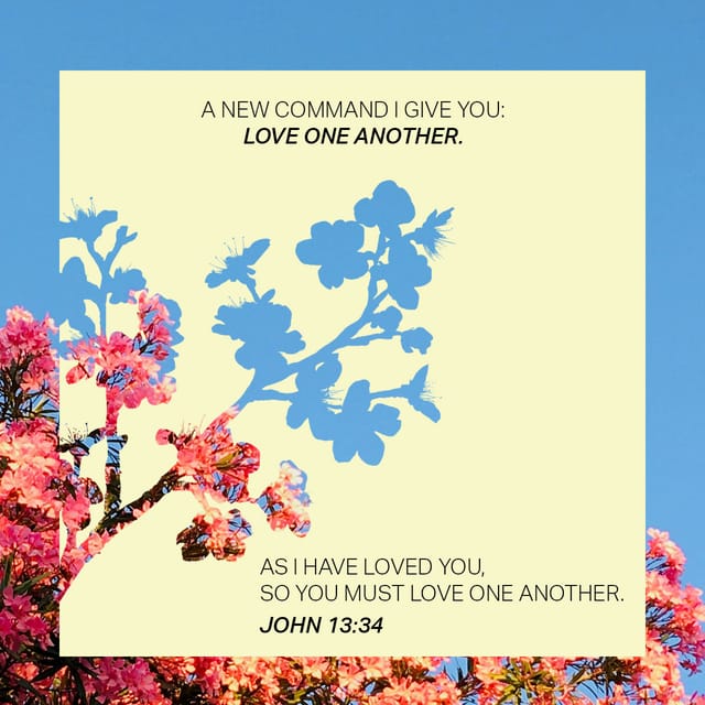 John 13:34