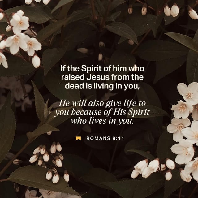 Romans 8:11